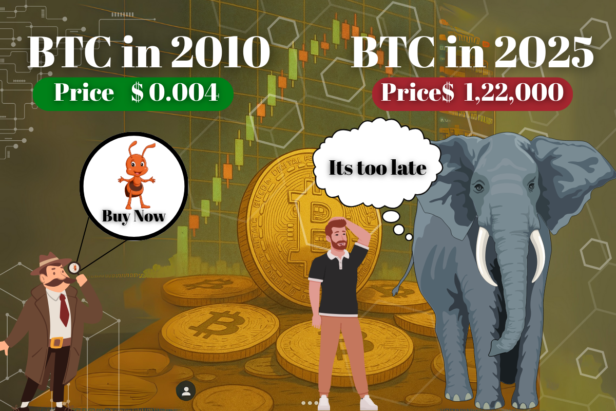 The 2025 Crypto Atlas: Navigating the Next Bull Run, Top Assets, and Trading Hubs