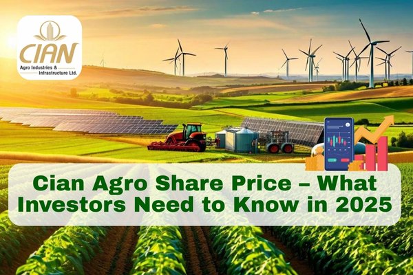 Cian Agro Share Price – What Investors Need to Know in 2025